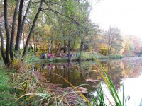 /album/a22-10-putovani-za-vilou-podzimenkou/podzimenka1-jpg/