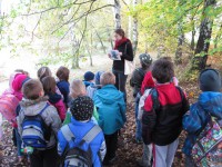 /album/a22-10-putovani-za-vilou-podzimenkou/podzimenka2-jpg/