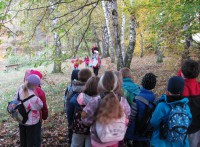 /album/a22-10-putovani-za-vilou-podzimenkou/podzimenka3-jpg/