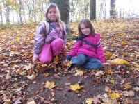 /album/a22-10-putovani-za-vilou-podzimenkou/podzimenka4-jpg/