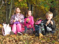 /album/a22-10-putovani-za-vilou-podzimenkou/podzimenka6-jpg/