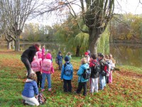 /album/a22-10-putovani-za-vilou-podzimenkou/podzimenka7-jpg/