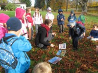 /album/a22-10-putovani-za-vilou-podzimenkou/podzimenka8-jpg/