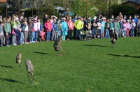 /album/a9-kvetna-2016-vycvik-dravcu/dravci-1-jpg/