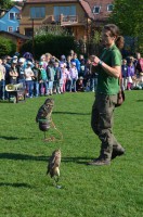 /album/a9-kvetna-2016-vycvik-dravcu/dravci-2-jpg/