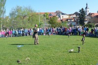 /album/a9-kvetna-2016-vycvik-dravcu/dravci-3-jpg/