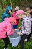 /album/kveten-cerven-2016-projekt-les-zije/les-zije-web6-jpg/